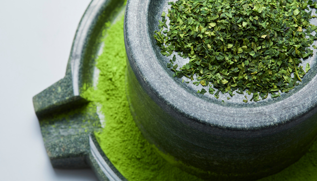 Is Your Matcha Powder Really Clean? How to Know It’s Free of Heavy Metals and Pesticides?